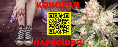 индика Усть-Джегута