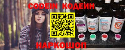индика Усть-Джегута