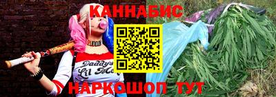 индика Усть-Джегута